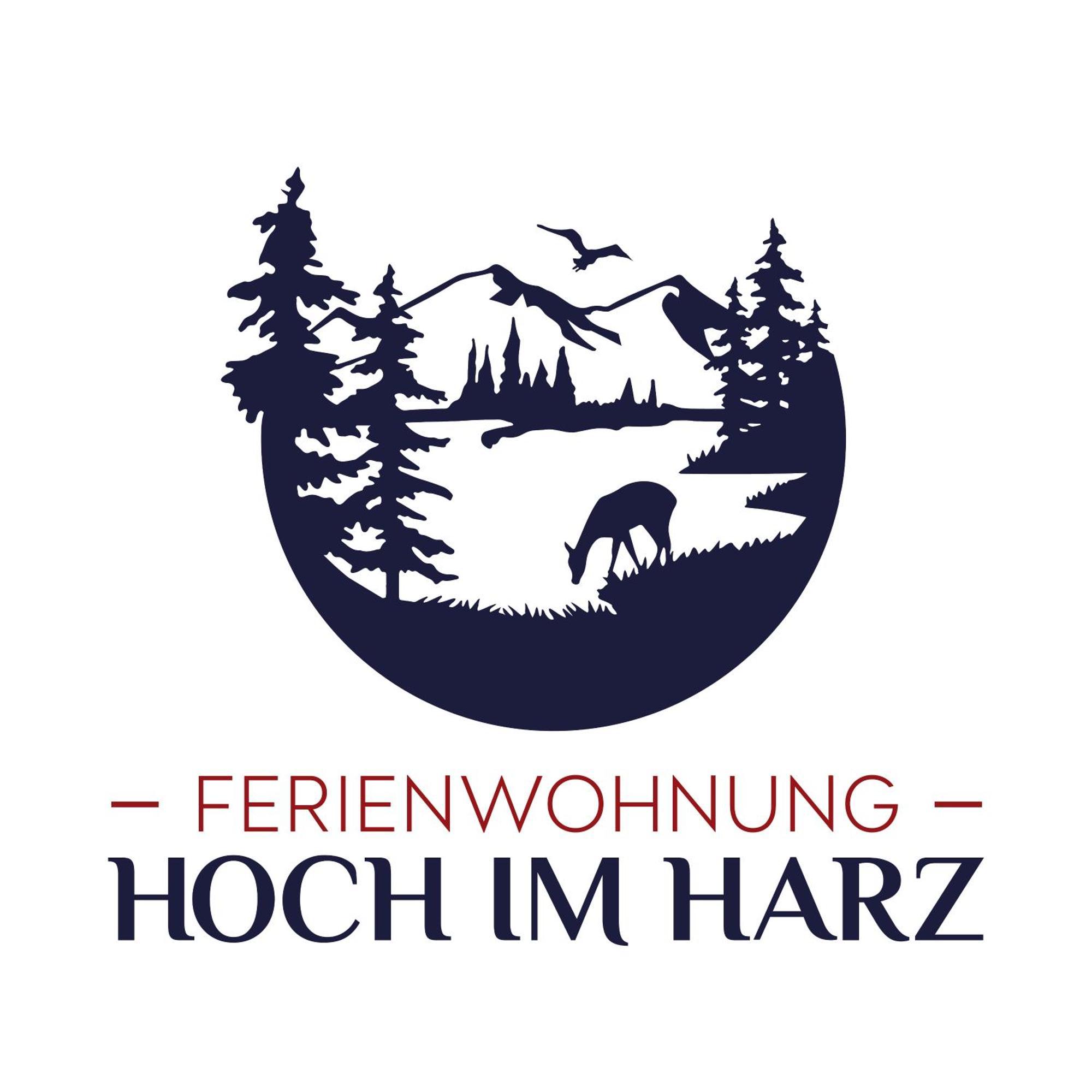Ferienwohnung Hoch Im Harz, Altenau 阿尔特瑙 外观 照片